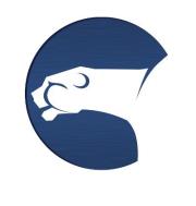 Giveaway of Kepard Premium VPN Accounts